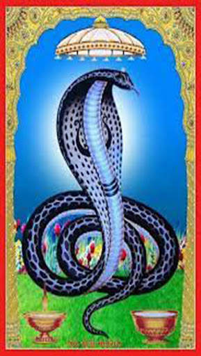 Goga Maharaj Wallpaper & Photo screenshot 2