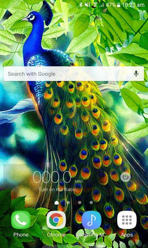 Peacock Beauty Live Wallpaper screenshot 2