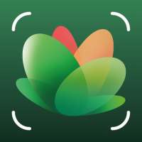 PlantSnap - Plant Identification icon