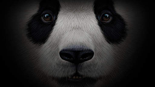 Pandabox P2P screenshot 4