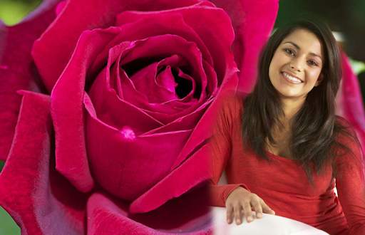 Macro Rose Overlay Effect - Rose Photo Frames HD screenshot 3