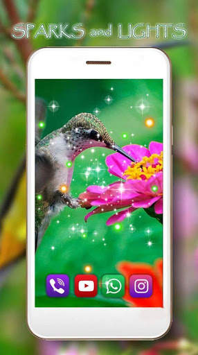 Birds Live Wallpaper स्क्रीनशॉट 3