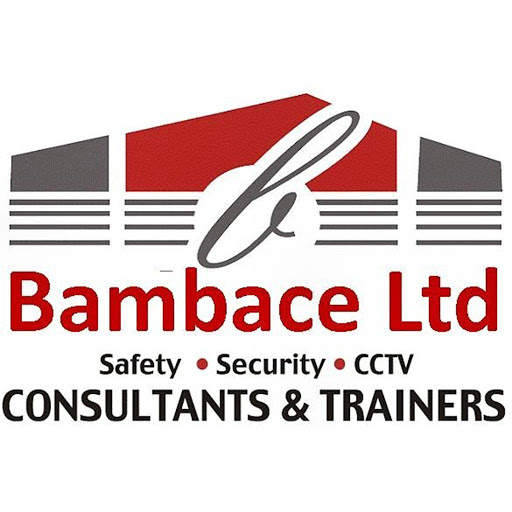 Bambace Ltd screenshot 3
