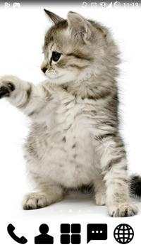 Little Kitty GO Launcher Theme screenshot 2