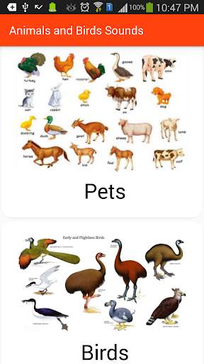 Animals and Birds Sounds screenshot 3