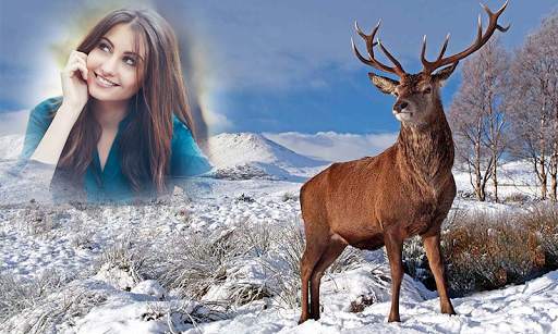 Wild Animal Photo Frames screenshot 22