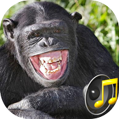 Funny Sounds icon
