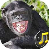 Funny Sounds 1.0