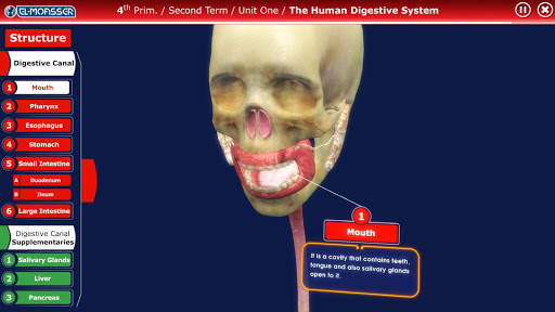 El-Moasser Digestive System 3D screenshot 3