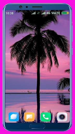 Palm Tree Wallpaper screenshot 15