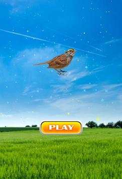 Sparrow Bird Game screenshot 2