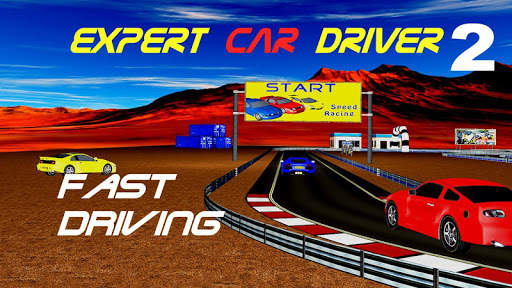 Expert Car Driver 2 screenshot 1