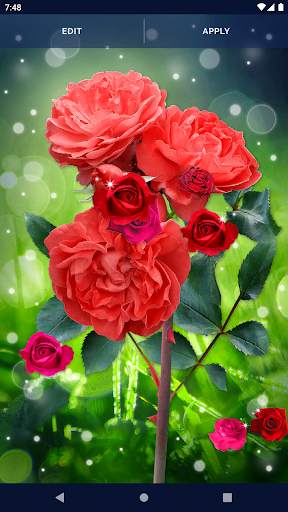 Elegant RedRose Live Wallpaper screenshot 7