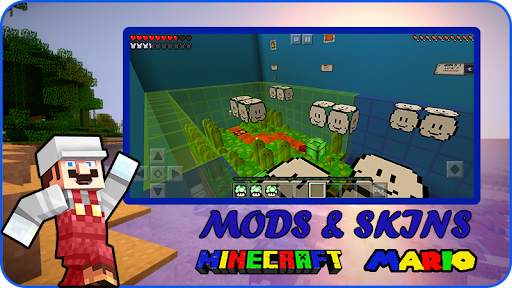 Mod Mario Minecraft screenshot 3