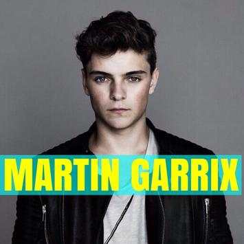 Martin Garrix -  Songs OFFLINE (Song - 34) screenshot 1