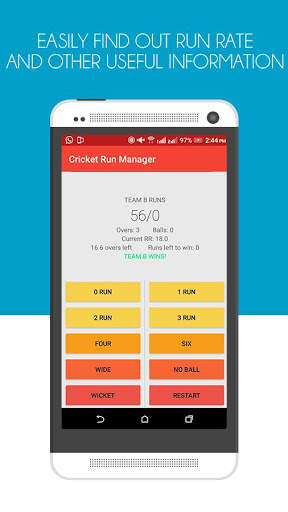 Cricket Run Manager screenshot 3