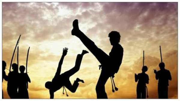 Learn capoeira with music screenshot 3