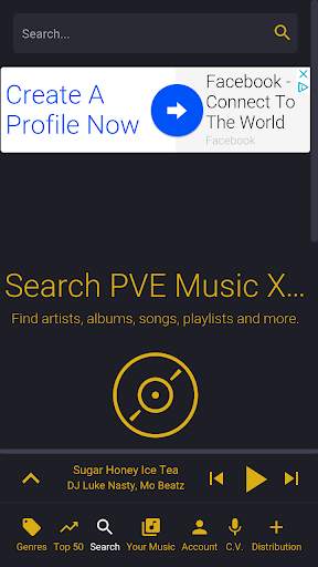 PVE Music Xstream screenshot 6