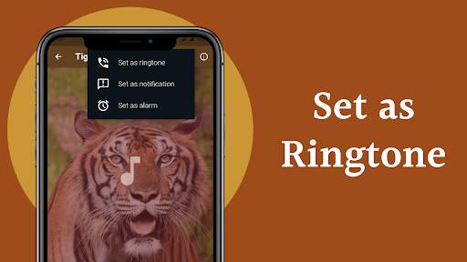 Tiger Sounds screenshot 6