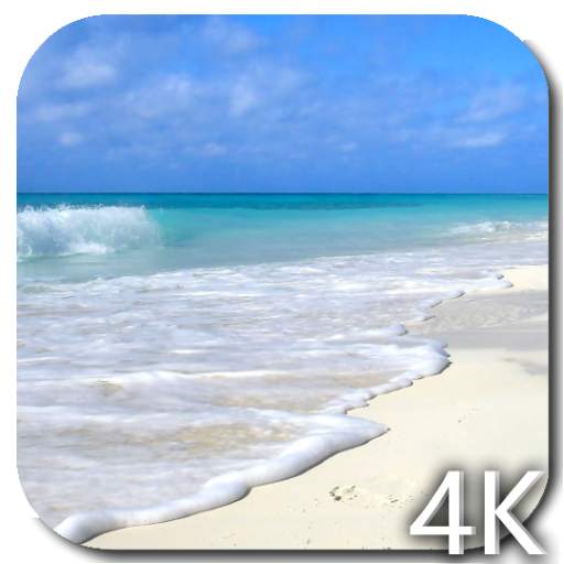 Paradise Video Live Wallpaper 3.0