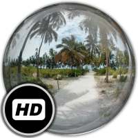 Panorama Wallpaper: Palms on 9Apps