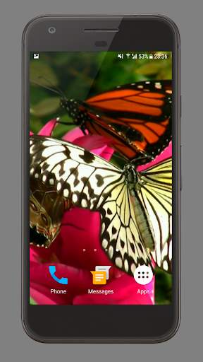 Butterfly And Flower Video LWP screenshot 1