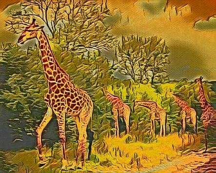 Cartoon Filters For Pictures screenshot 7