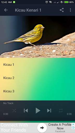Kicau Burung Kenari screenshot 3