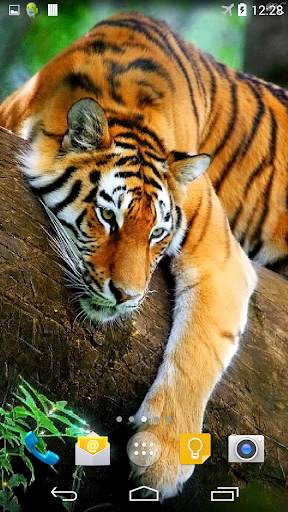 Tiger 3D Live Wallpaper screenshot 1