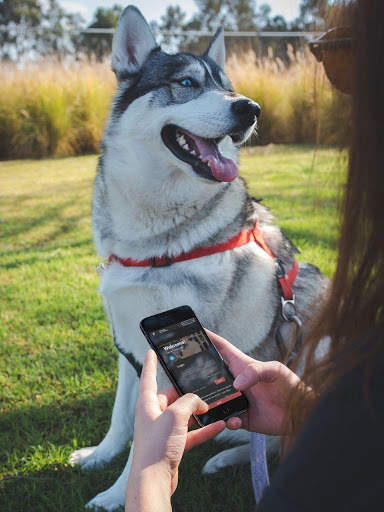 FriendsterIO - Social Network Platform screenshot 8