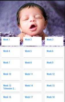 Pregnancy Stages screenshot 1