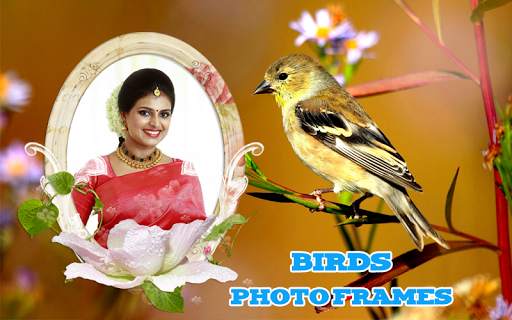 Birds Photo Frames скриншот 5
