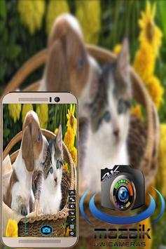 Camera Mozaik screenshot 4