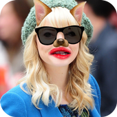 Funny Face Editor icon