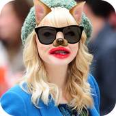 Funny Face Editor 7.3