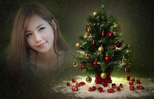 Christmas Photo Frames screenshot 4