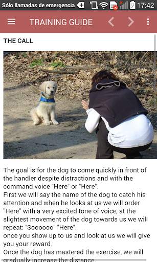 Dog Training Guide Offline screenshot 18