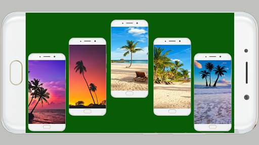 Palm Tree Wallpaper screenshot 2