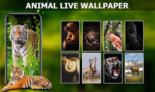 Live Wallpapers Animated, Background 3D/HD/4k 2020 screenshot 4