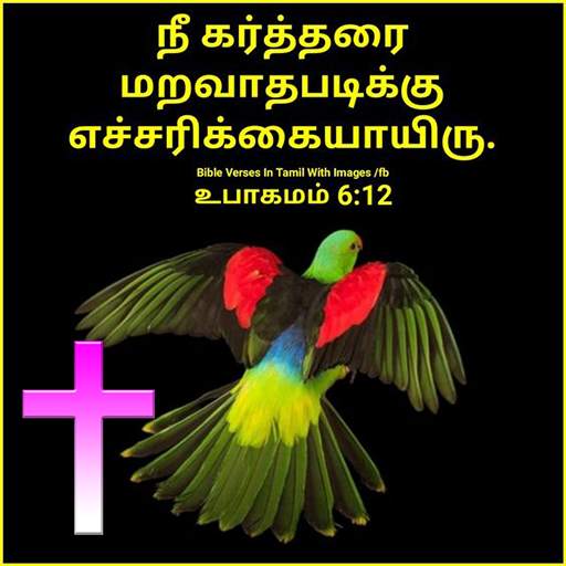 Tamil Bible versus 1.1