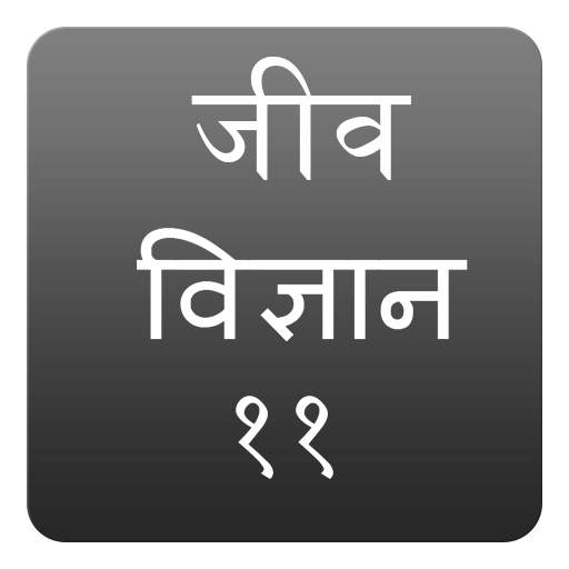 NCERT Class 11 Biology Notes Hindi Medium 0.4
