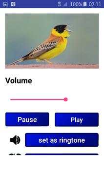 Birds Songs and Sounds (HD Sounds) screenshot 6