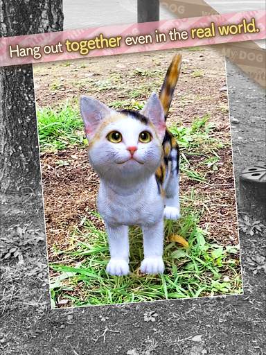 with My CAT screenshot 16