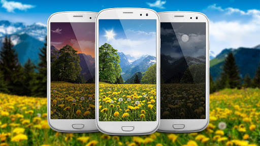Summer Dandelion Live Wallpaper screenshot 1