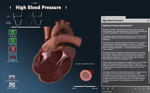 bodyxq heart screenshot 2