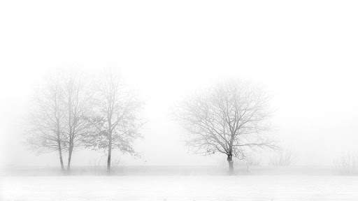 White Background screenshot 4