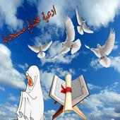 أدعية مختارة فيديو بدون نت on 9Apps