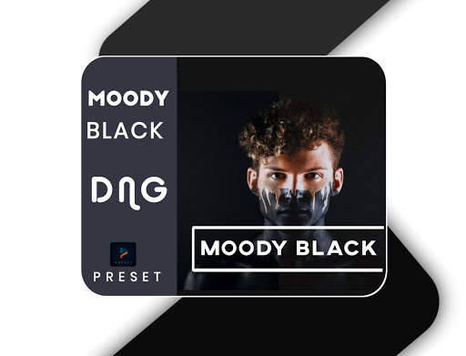 Preset - Free Presets For Lightrooom, Alight Motio screenshot 4