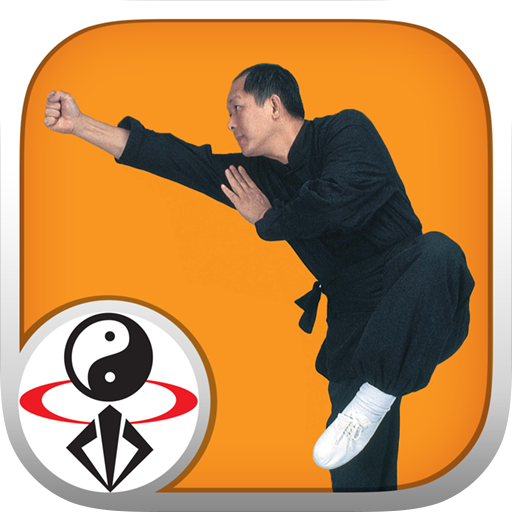 Shaolin Kung Fu icon