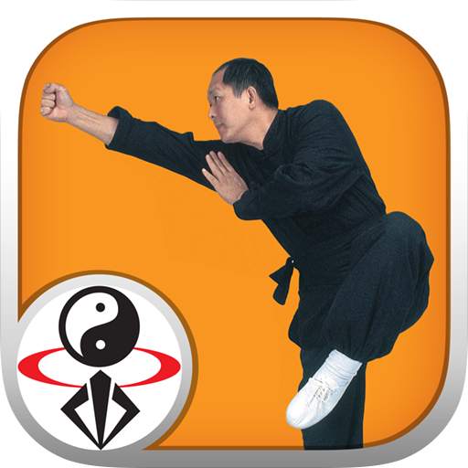 Shaolin Kung Fu 1.0.9
